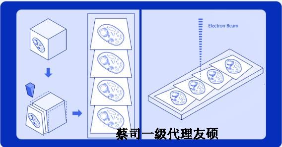 上饶蔡司上饶扫描电镜