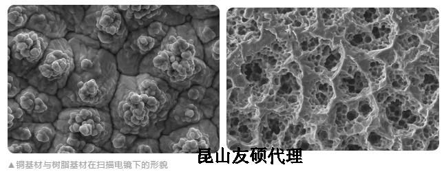 上饶蔡司上饶扫描电镜